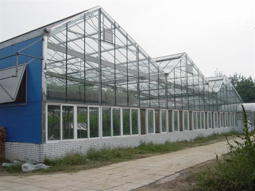 SYWS型系列玻璃温室